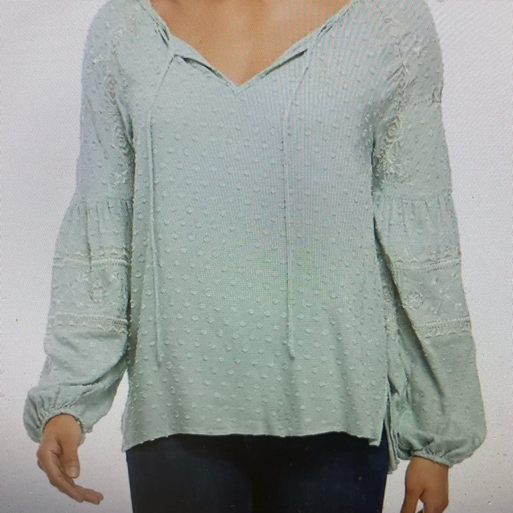 Cupio embroidered lantern sleeve peasant blouse